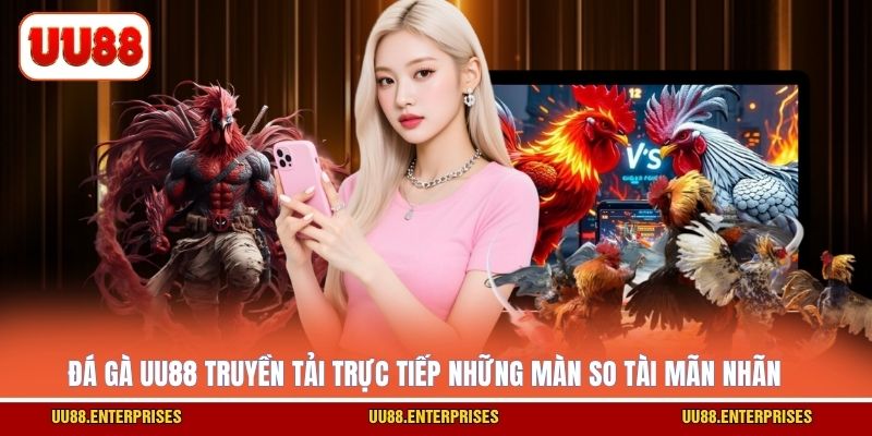 Đá gà UU88 truyền tải trực tiếp những màn so tài mãn nhãn